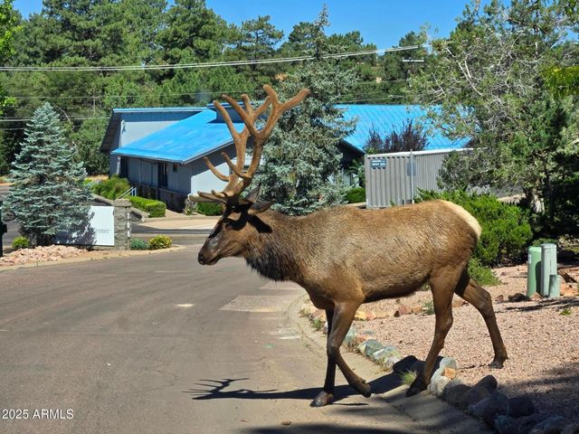 701 S COEUR D ALENE Lane, Payson, AZ 85541