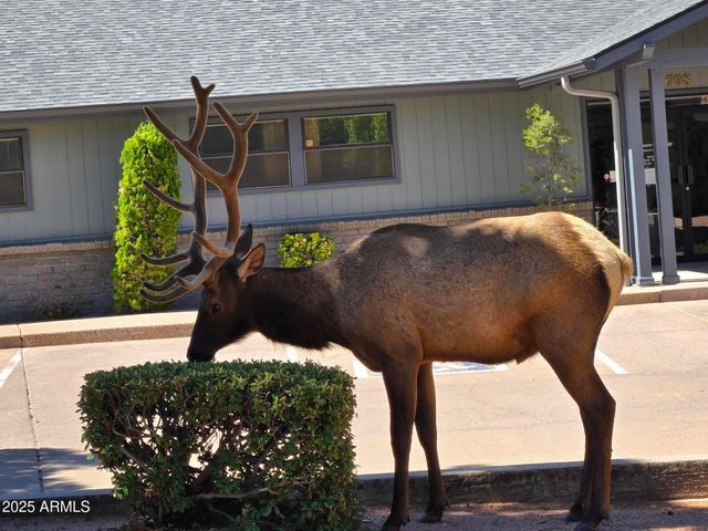 701 S COEUR D ALENE Lane, Payson, AZ 85541