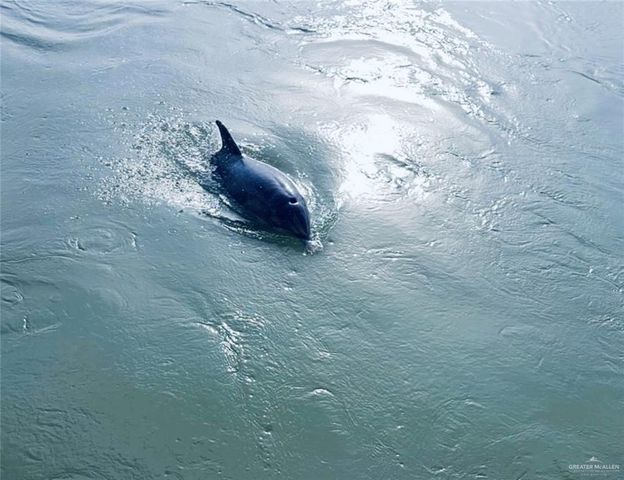 841 W Oyster Drive, Port Isabel, TX 78578