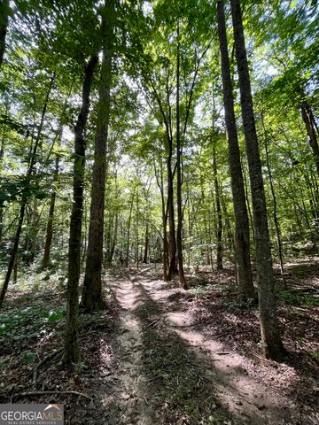 621 Rance Foster Road, Bowdon, GA 30108