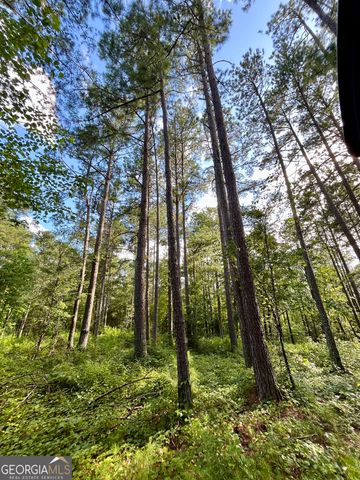 621 Rance Foster Road, Bowdon, GA 30108