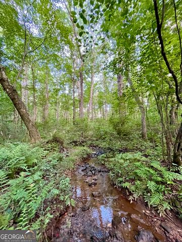 621 Rance Foster Road, Bowdon, GA 30108