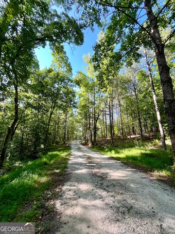 621 Rance Foster Road, Bowdon, GA 30108