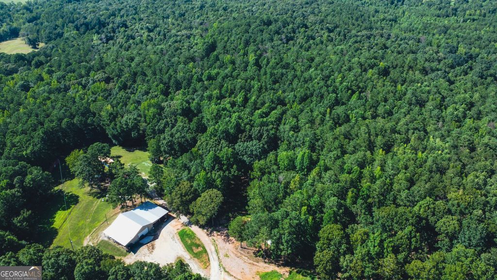 621 Rance Foster Road, Bowdon, GA 30108