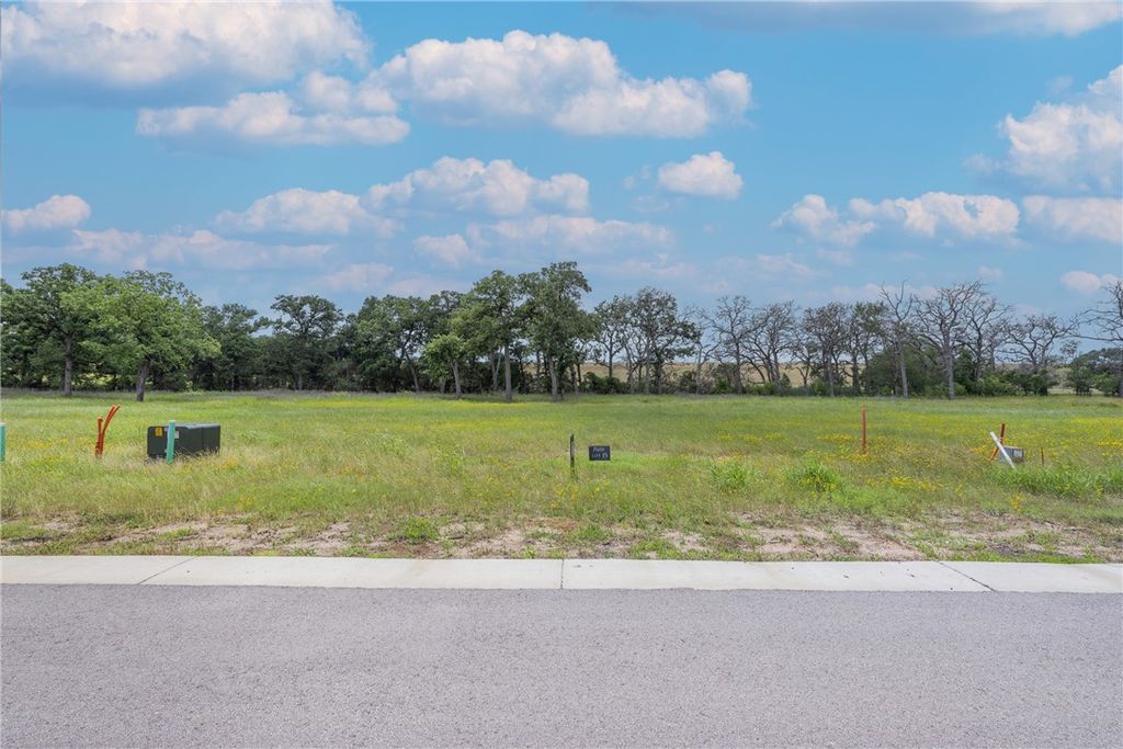 TBD Lot 15 Lake Day Drive, Somerville, TX 77879 — photo 5