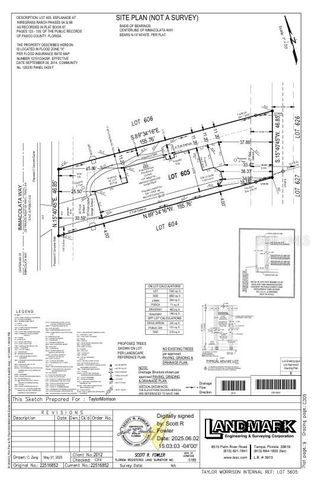 3864 IMMACOLATA WAY, Wesley Chapel, FL 33543