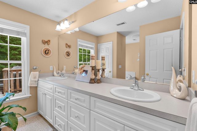 316 Cutter Court, Chapin, SC 29036