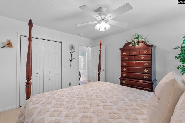 316 Cutter Court, Chapin, SC 29036
