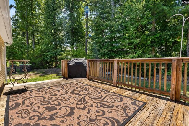 316 Cutter Court, Chapin, SC 29036