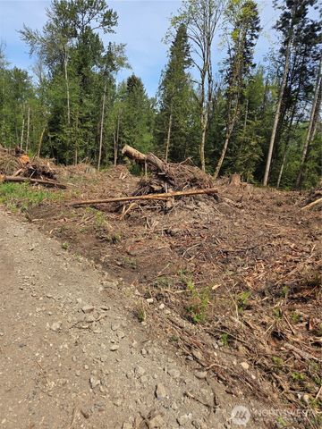0 Kelly Road, Bellingham, WA 98226