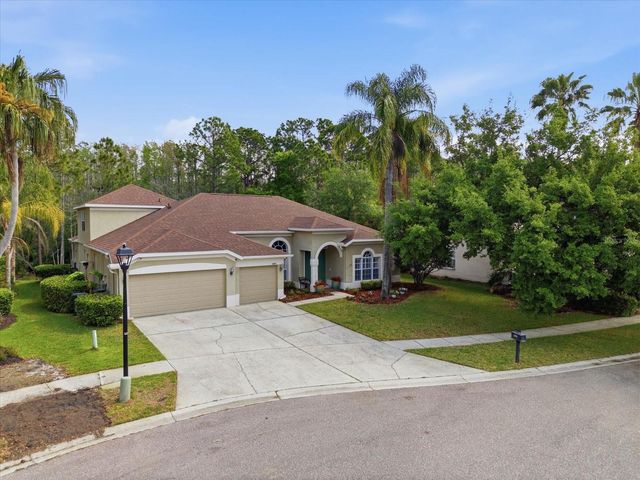 18931 CHAVILLE ROAD, Lutz, FL 33558