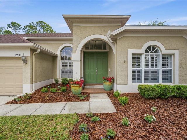 18931 CHAVILLE ROAD, Lutz, FL 33558