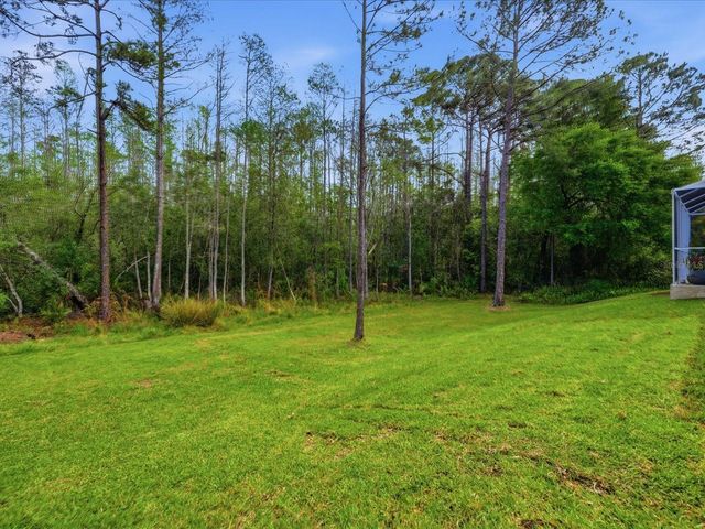 18931 CHAVILLE ROAD, Lutz, FL 33558