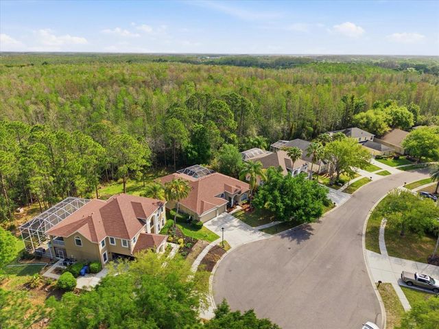 18931 CHAVILLE ROAD, Lutz, FL 33558