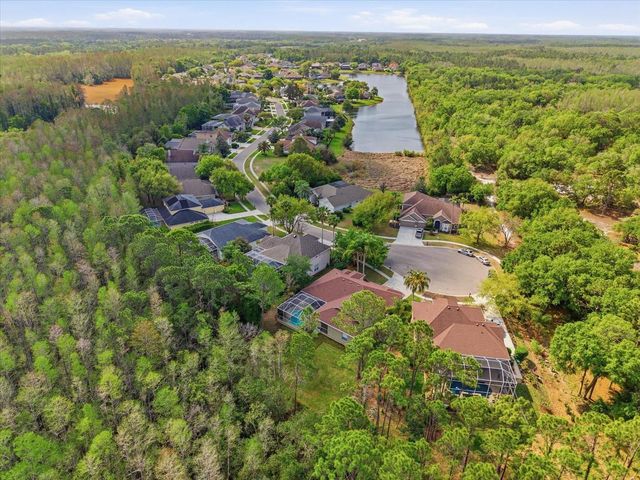 18931 CHAVILLE ROAD, Lutz, FL 33558