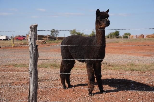 18459 Boardwalk Crossing, Norman, OK 73072