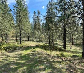 XXX N Junco Way, Kettle Falls, WA 99141