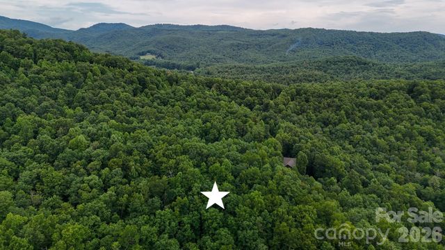 365 Big Bear Trail 25, Zirconia, NC 28790