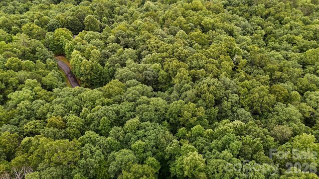 365 Big Bear Trail 25, Zirconia, NC 28790