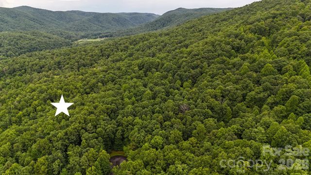 365 Big Bear Trail 25, Zirconia, NC 28790