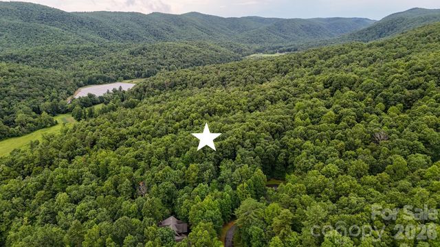 365 Big Bear Trail 25, Zirconia, NC 28790