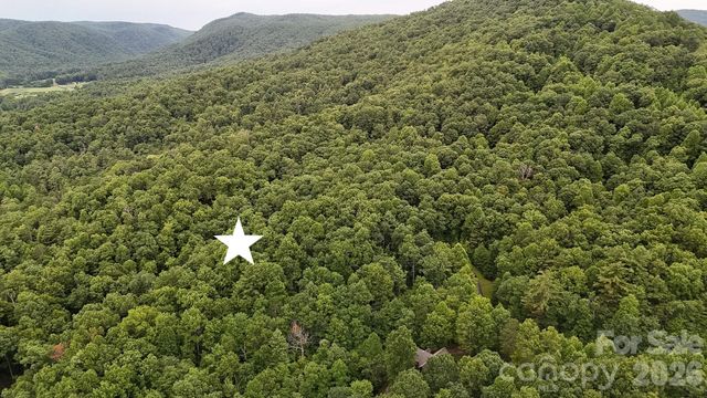 365 Big Bear Trail 25, Zirconia, NC 28790