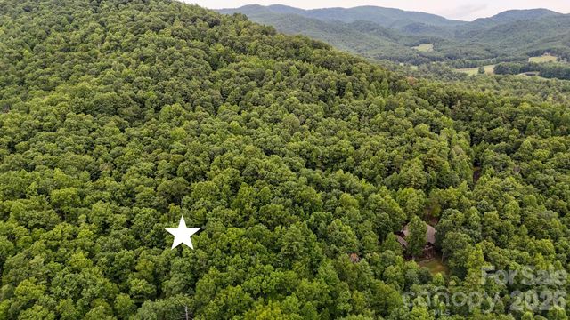 365 Big Bear Trail 25, Zirconia, NC 28790