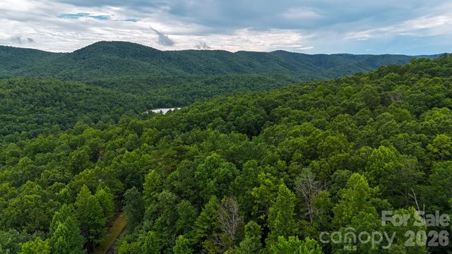 365 Big Bear Trail 25, Zirconia, NC 28790