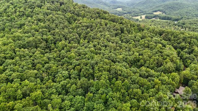 365 Big Bear Trail 25, Zirconia, NC 28790