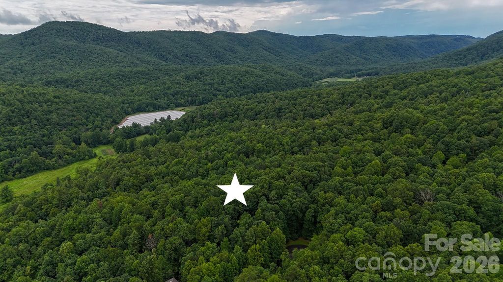 365 Big Bear Trail 25, Zirconia, NC 28790