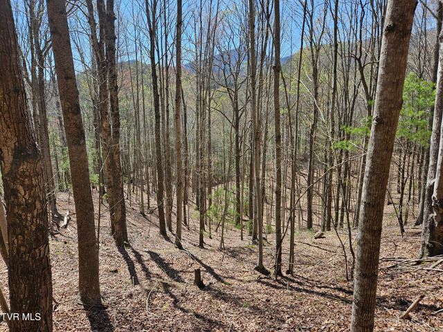 0000 Ray Kegley Road, Erwin, TN 37650