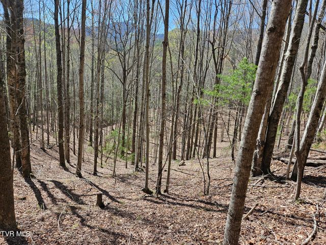 0000 Ray Kegley Road, Erwin, TN 37650