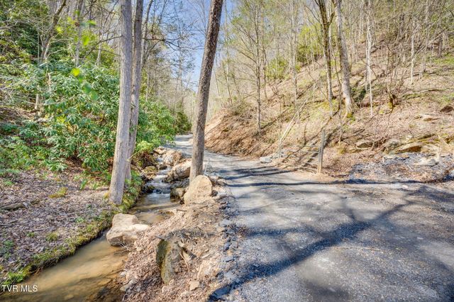 0000 Ray Kegley Road, Erwin, TN 37650