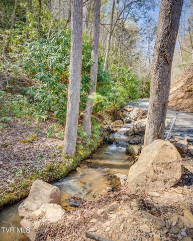 0000 Ray Kegley Road, Erwin, TN 37650