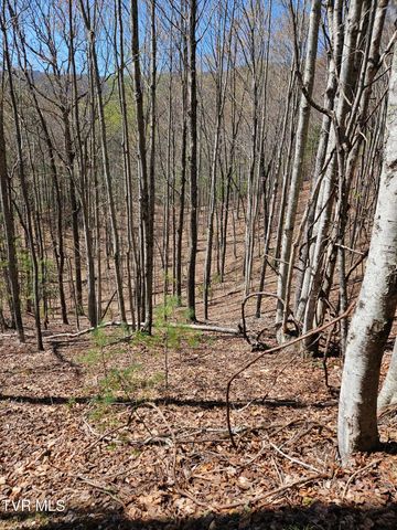 0000 Ray Kegley Road, Erwin, TN 37650