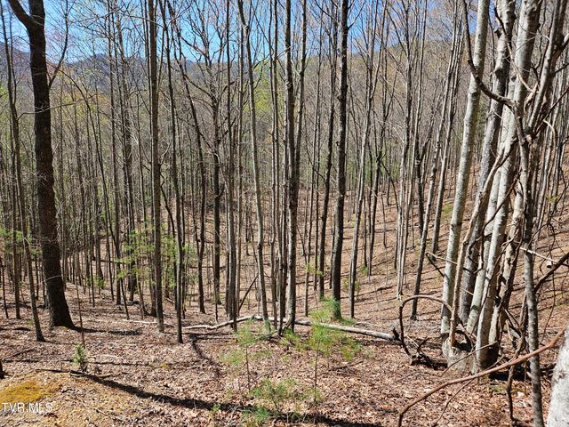 0000 Ray Kegley Road, Erwin, TN 37650