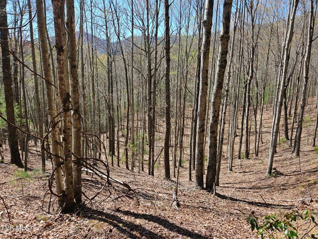 0000 Ray Kegley Road, Erwin, TN 37650