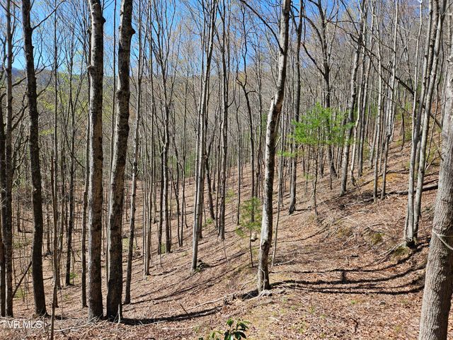 0000 Ray Kegley Road, Erwin, TN 37650