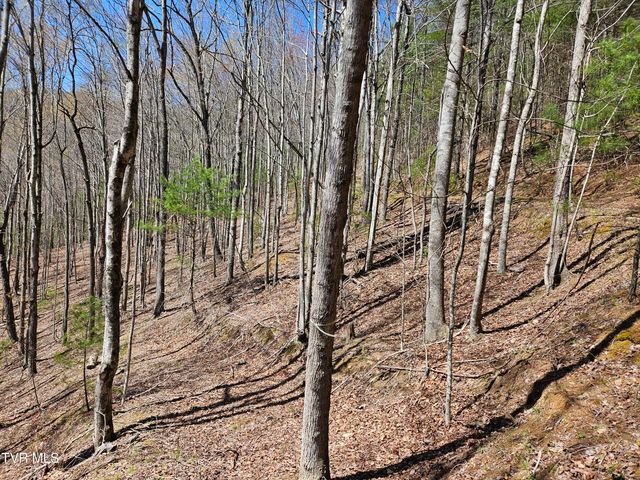 0000 Ray Kegley Road, Erwin, TN 37650