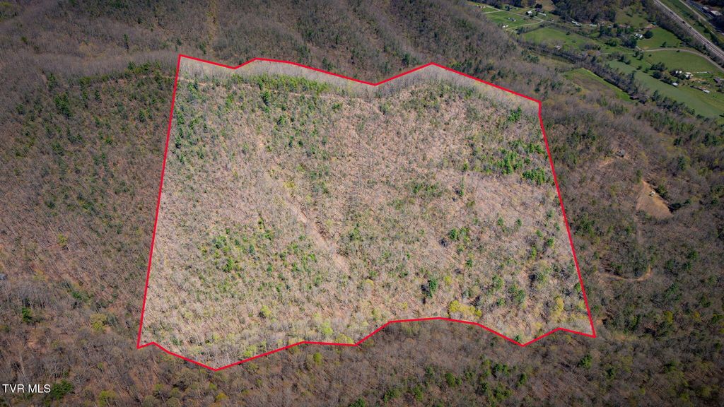 0000 Ray Kegley Road, Erwin, TN 37650
