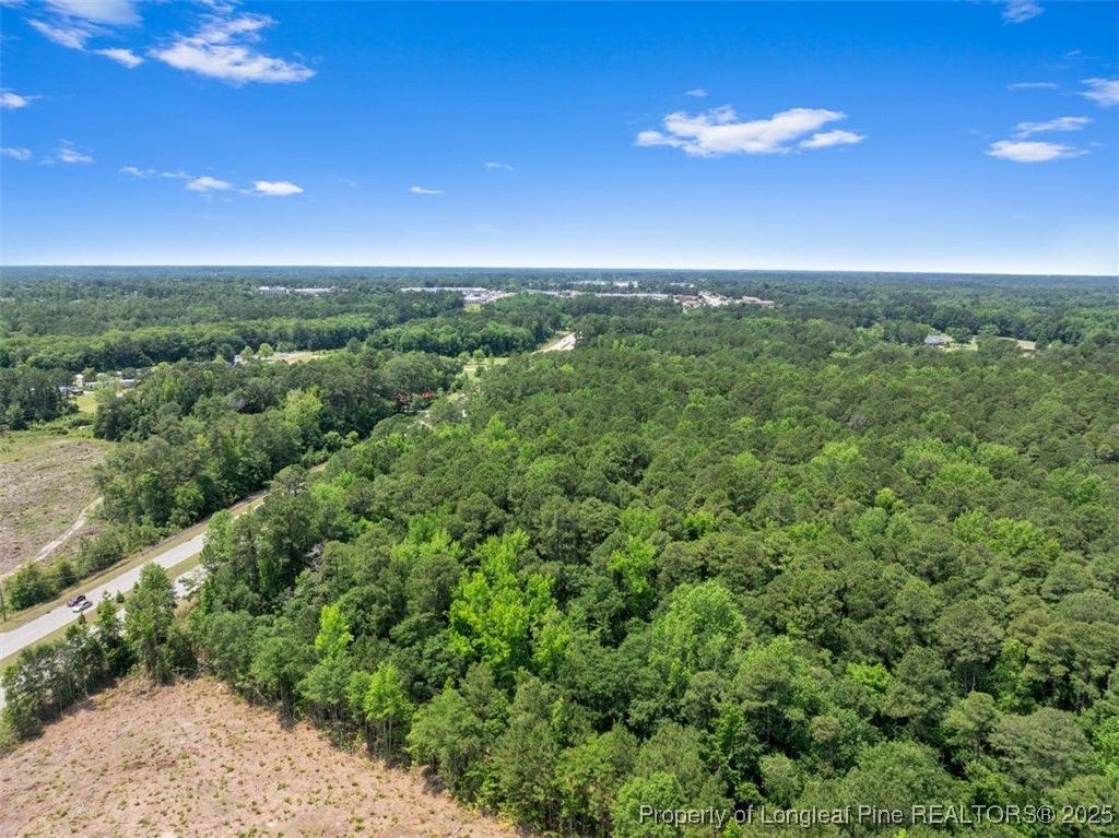 TBD Camden Rd. Road, Fayetteville, NC 28306 — photo 12
