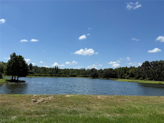 12200 RANGELAND BOULEVARD, Odessa, FL 33556