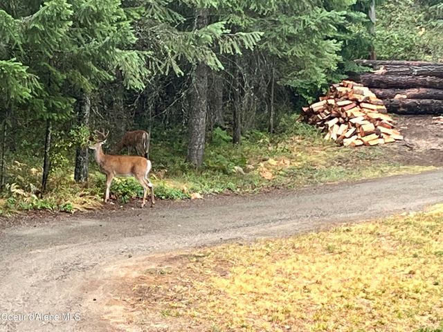 335 Tamarack LN, Sagle, ID 83860