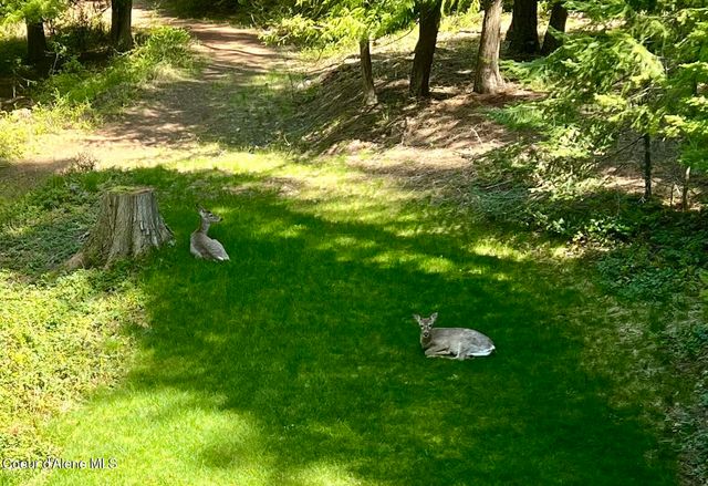 335 Tamarack LN, Sagle, ID 83860