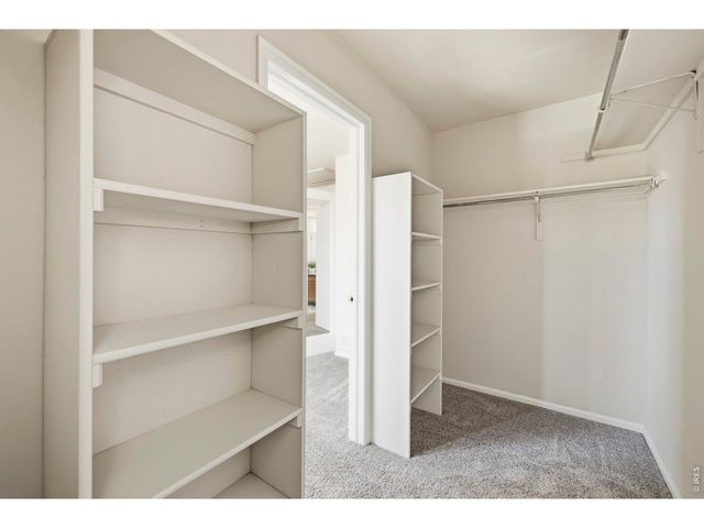 3917 Kennedy Ave, Wellington, CO 80549