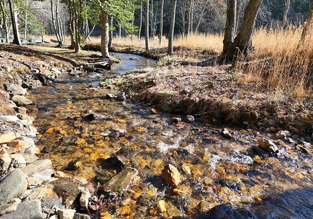 642 Everett Road, Blairsville, GA 30512