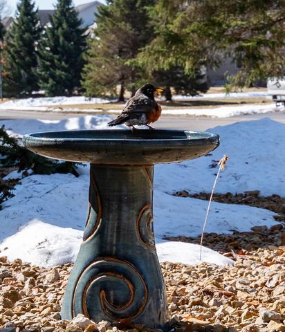 15053 Uplander Street NW, Andover, MN 55304