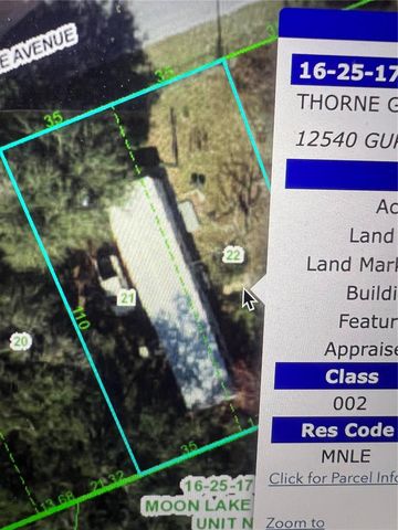 12540 GURNEE AVENUE, New Port Richey, FL 34654