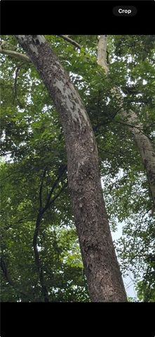 23436 Guthrie Road, Linwood, KS 66052