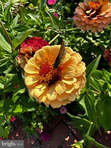 201 FEDERAL ST, Milton, DE 19968